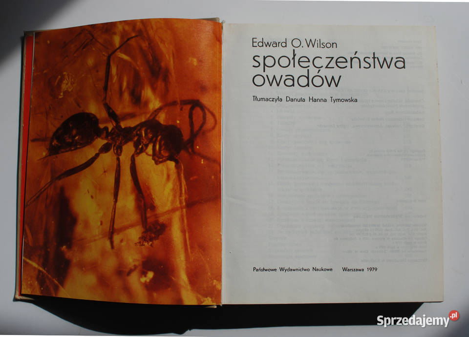 Społeczeństwa owadów Wilson Gdynia