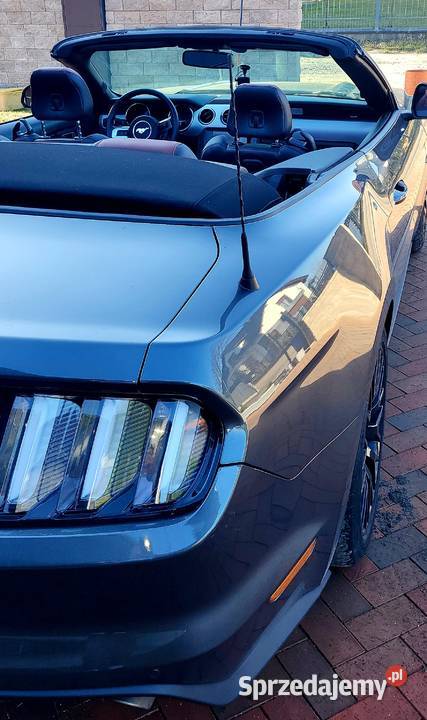 Mustang Convertible GT Bolesławiec