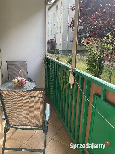 Sprzedam mieszkanie 445m2 Grodzisk Mazowiecki Sprzedaż