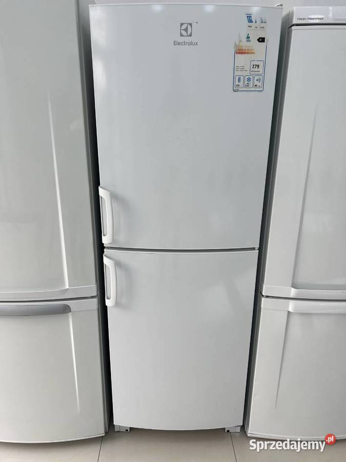 Lodówka Electrolux Kraków