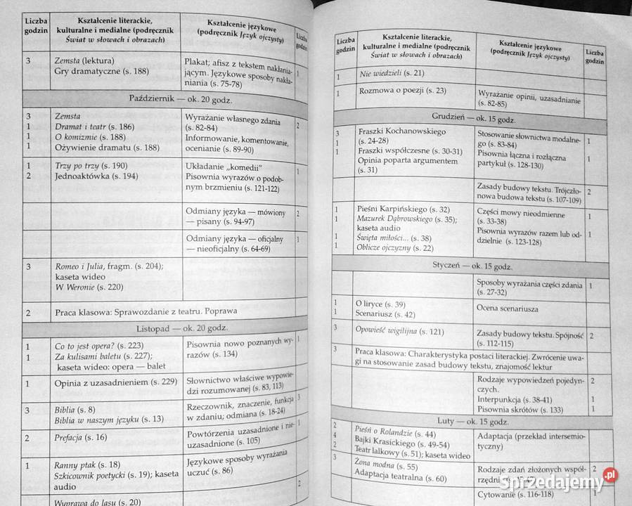 uczyć języka polskiego w kl 1 gimnazjum Rok wydania 1999 Pozostałe