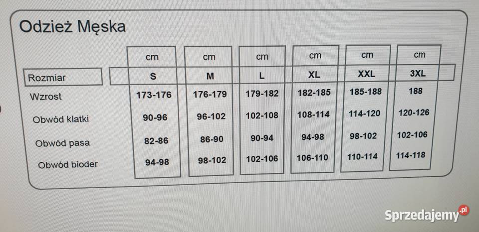 Sprzedam kurtkę 4F rozmia L Rydułtowy