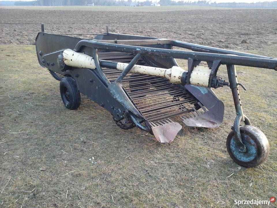 Kopaczka do ziemniaków kujawsko-pomorskie Chrostkowo