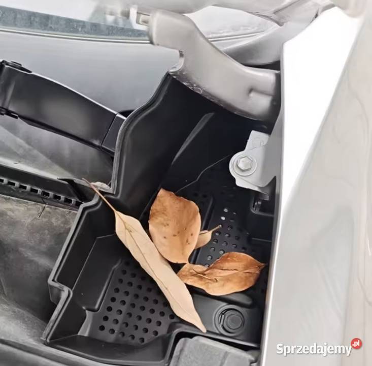 Toyota Camry 20242025 sitka na podszybie podlaskie Łomża