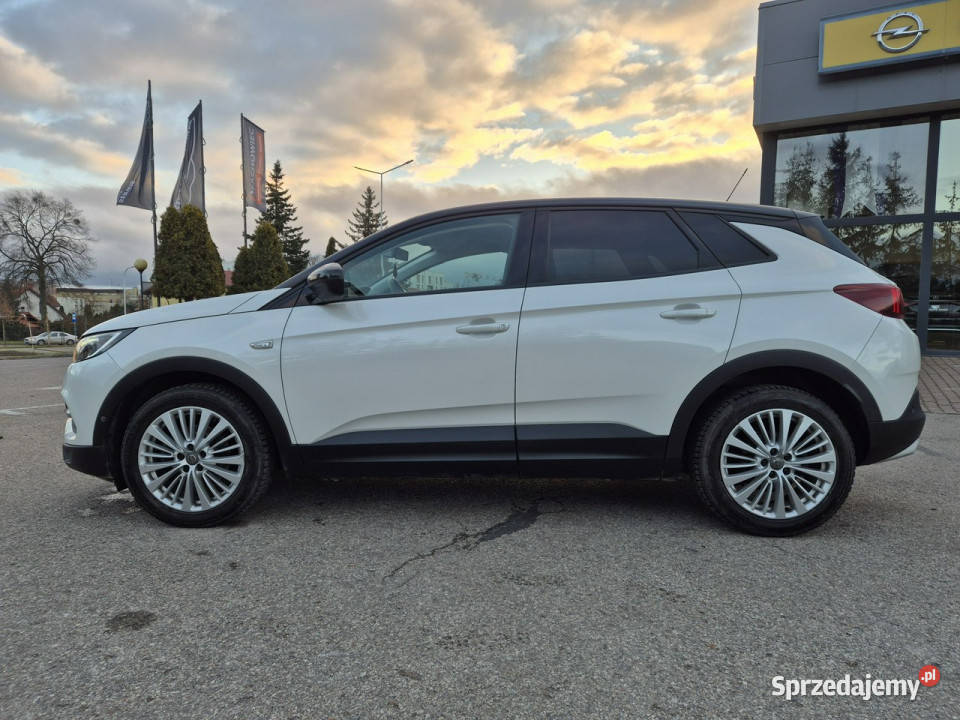 Opel Grandland X Giżycko