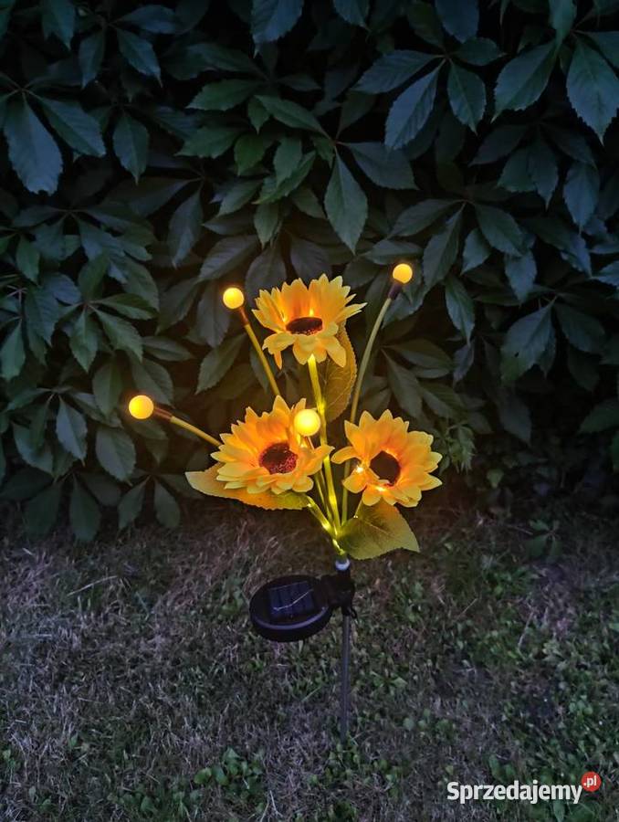 HIT Lata NOWA Lampki solarne LED słoneczniki z śląskie