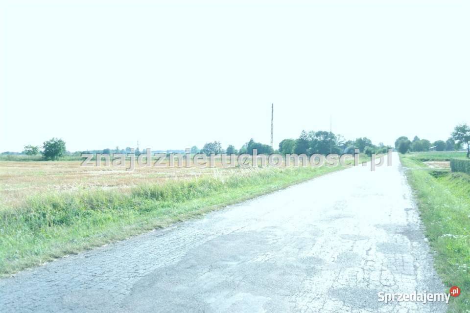 sprzedaży działki 37800m2 ModryńKolonia Sprzedaż Sprzedaż Modryń-Kolonia sprzedam