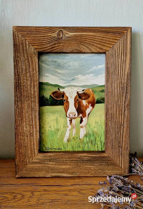 Obraz olejny ręcznie malowany Krówka piękna Męcina sprzedam