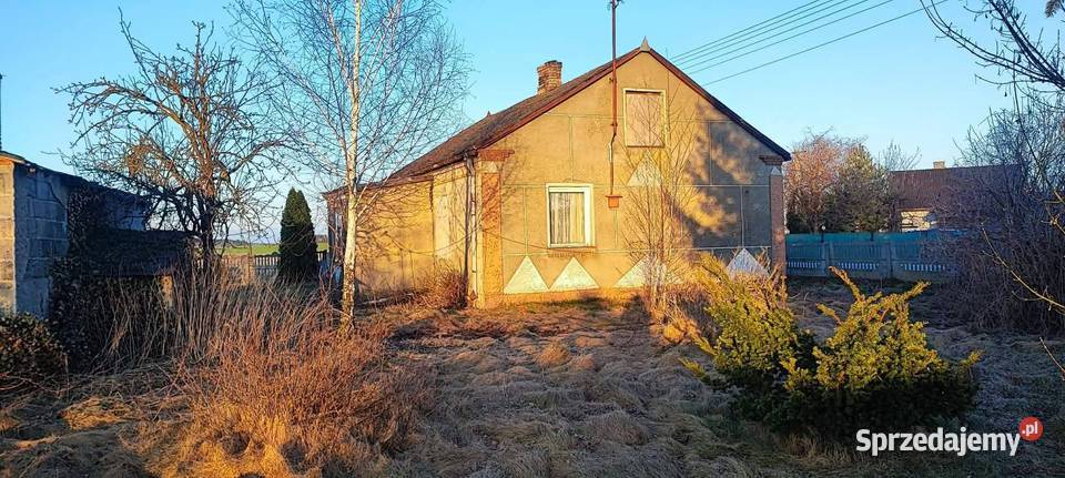 Sprzedam dom z siedliskiem i budynkami Sprzedaż mazowieckie Jeżewo-Wesel