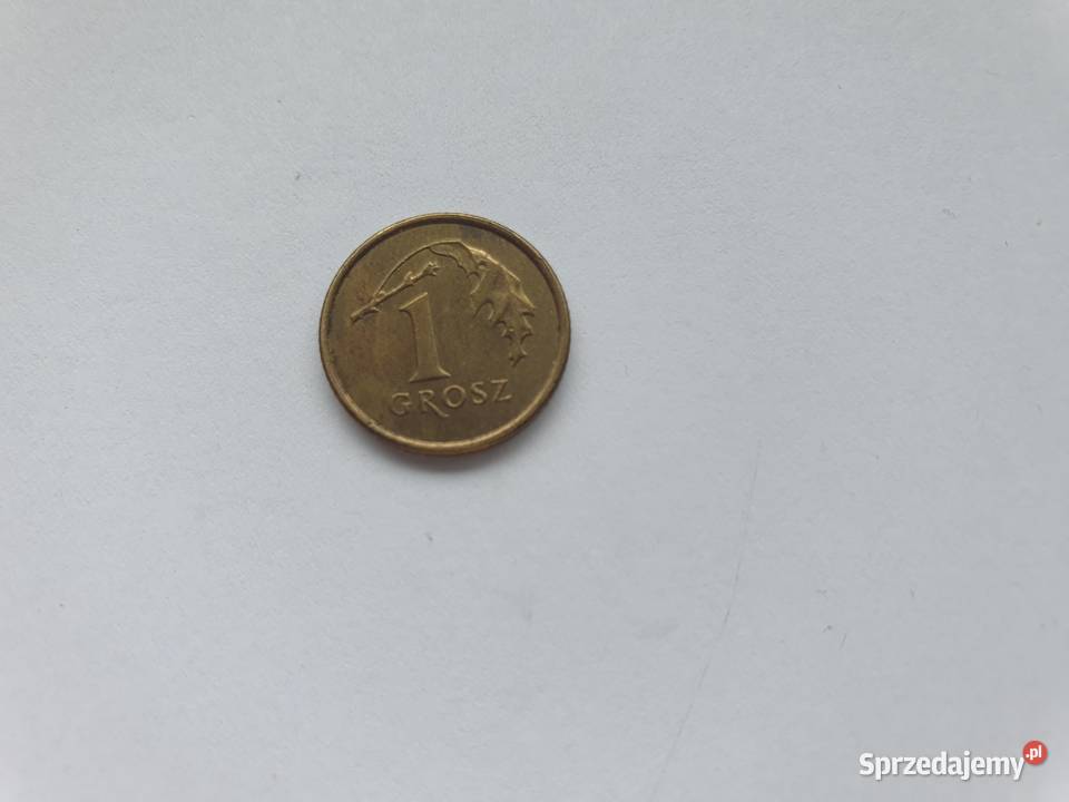 1 gr 2007r Skrętka Będzin sprzedam