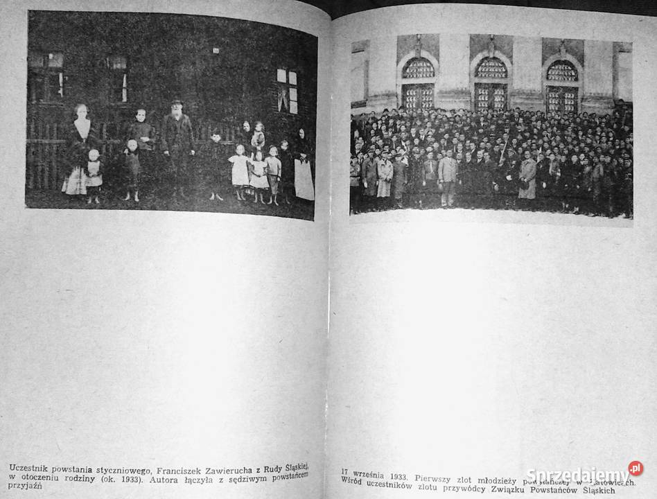 Do Powstańców Śląskich młodych zaciągają lubelskie Chełm sprzedam