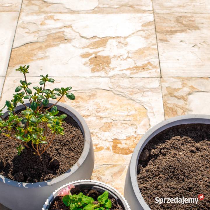 Płytki Łupek Indian Autumn Naturalny 60x40x12 wielkopolskie Poznań