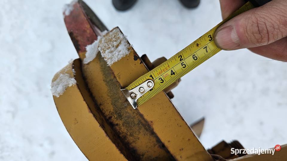 Głębosz zachodni 3 łapy MASYW nieuszkodzony Brodnica sprzedam