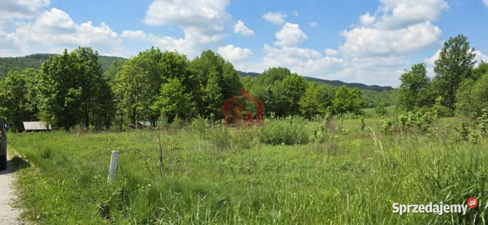 Działka 5200m2 Dębowa gaz