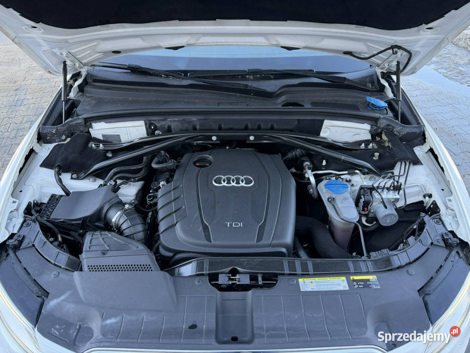 Audi Q5 20 TDI 143 Lift LED Quattro BiKsenon wielofunkcyjna kierownica Mrągowo
