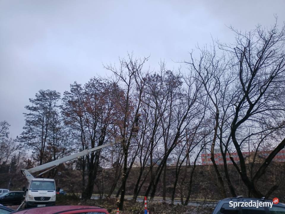 Kompleksowe ogrodnictwo pielęgnacja i wycinka