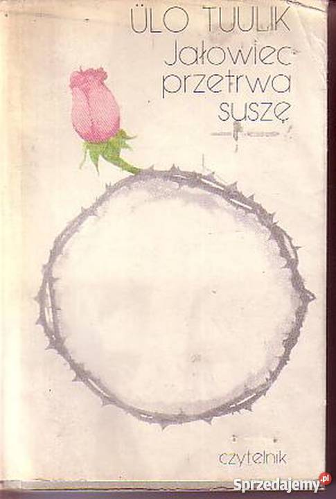 0492 JAŁOWIEC PRZETRWA SUSZĘ ULO TUULIK małopolskie