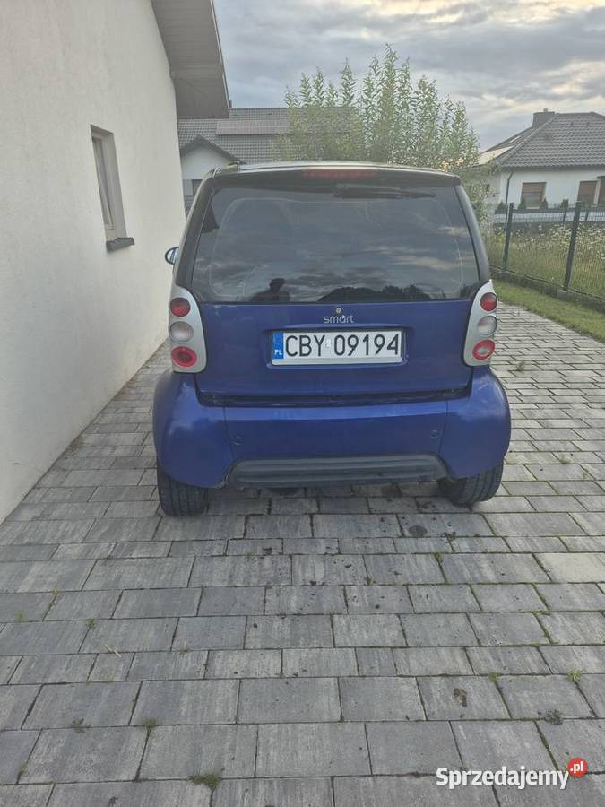 Smart fortów Nekla