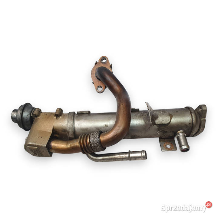CHŁODNICA SPALIN EGR Audi A4 B8 A5 8T A6 C6 20 Chełm