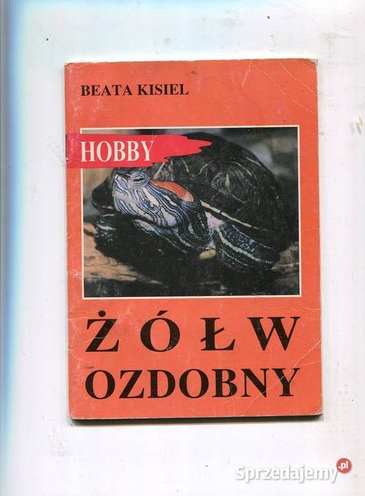 Żółw ozdobny Hobby Kisiel Szczecin