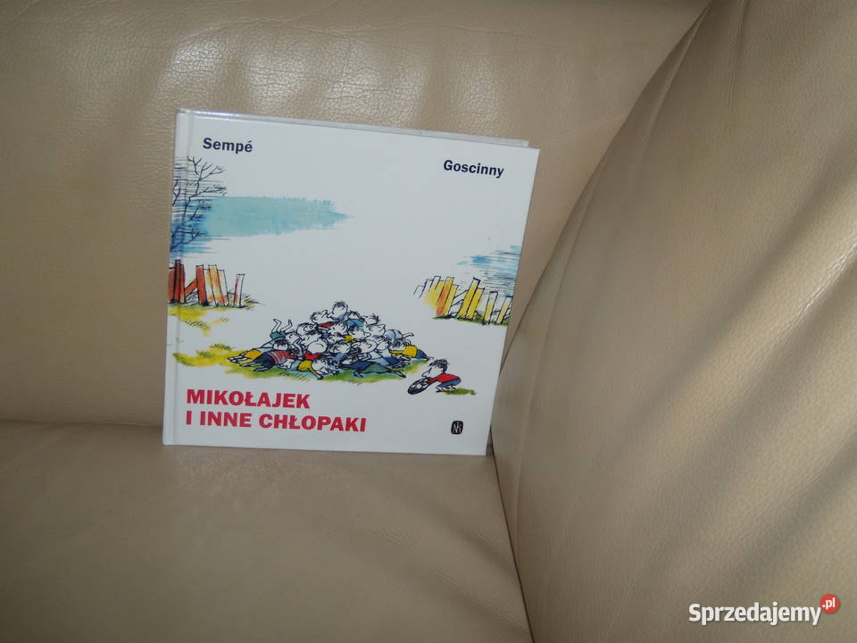 Mikołajek i inne chłopaki Książki dla dzieci Warszawa