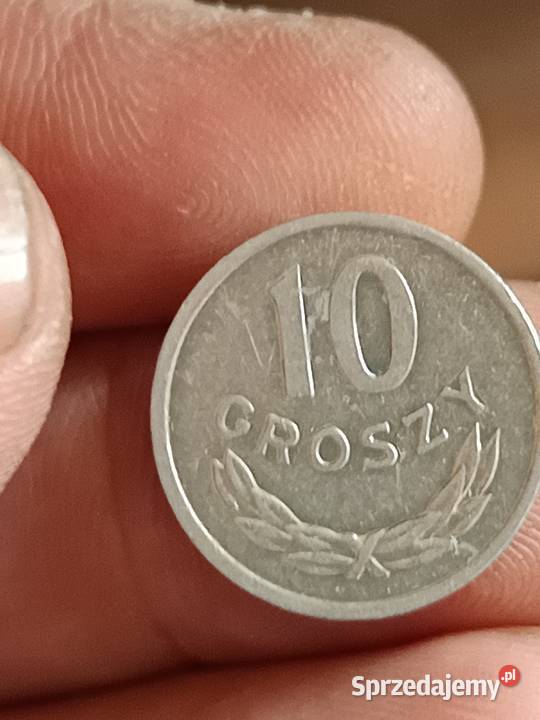 Sprzedam 10 gr 1981 r lekka skretka lubelskie Chełm