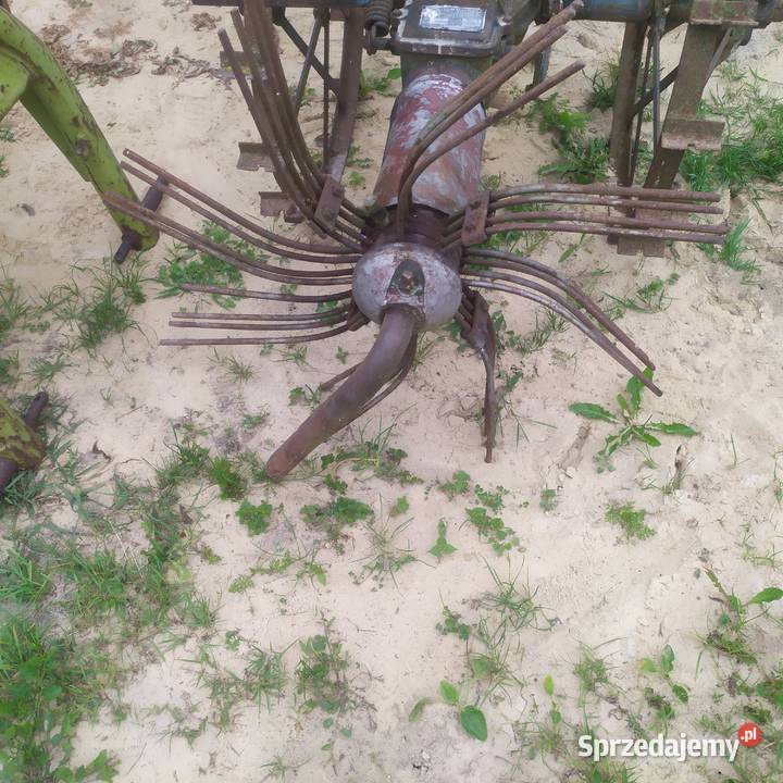 Koparka do ziemniaków Pniówek