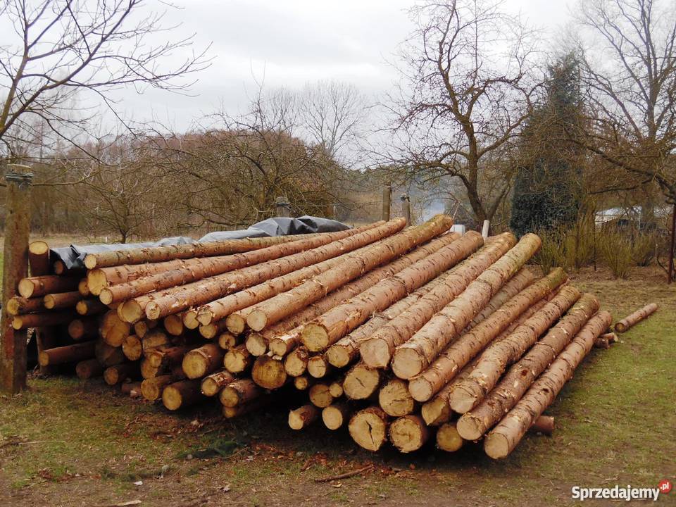 Drewno świerkowe Chocianów