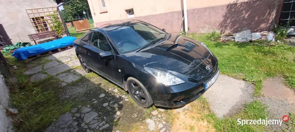 Do sprzedania czarna strzała sprzedam