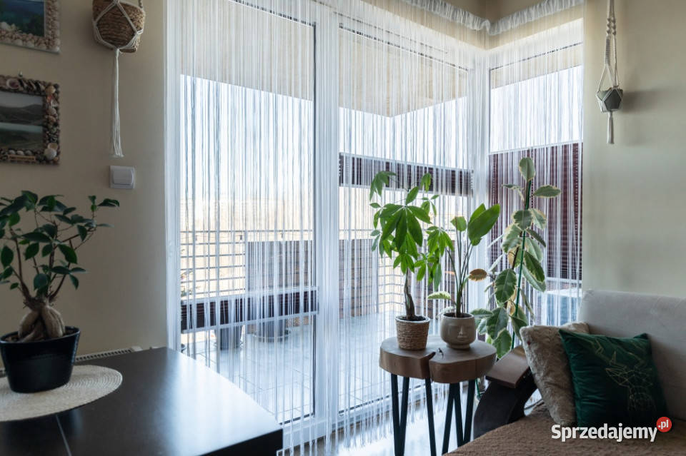 Przyjdź Z Walizkami I Zamieszkaj Zaraz Łódź