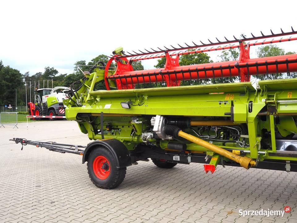 Claas Convio Flex 930 Heder do zboża rzepaku Claas wielkopolskie Stęszew sprzedam