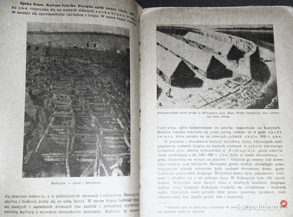 Historia Polski do roku 1795 Helena Michnik Chełm