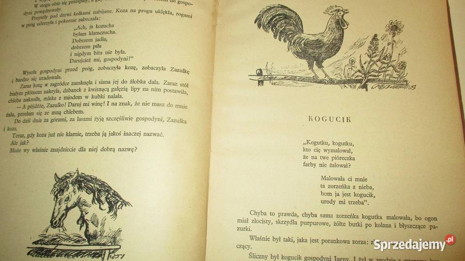 Bajdurki Porazińska bajki wiersze sprzedam
