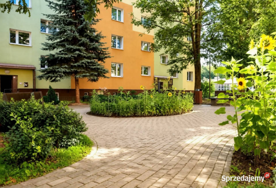 Bezpośrednio 2 pokoje 43 mkw parter podkarpackie Rzeszów
