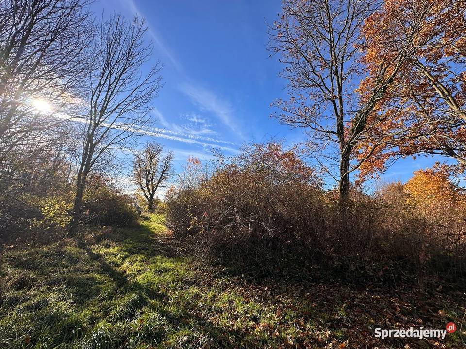 Działka budowlana kolorowe jeziorka lubuskie