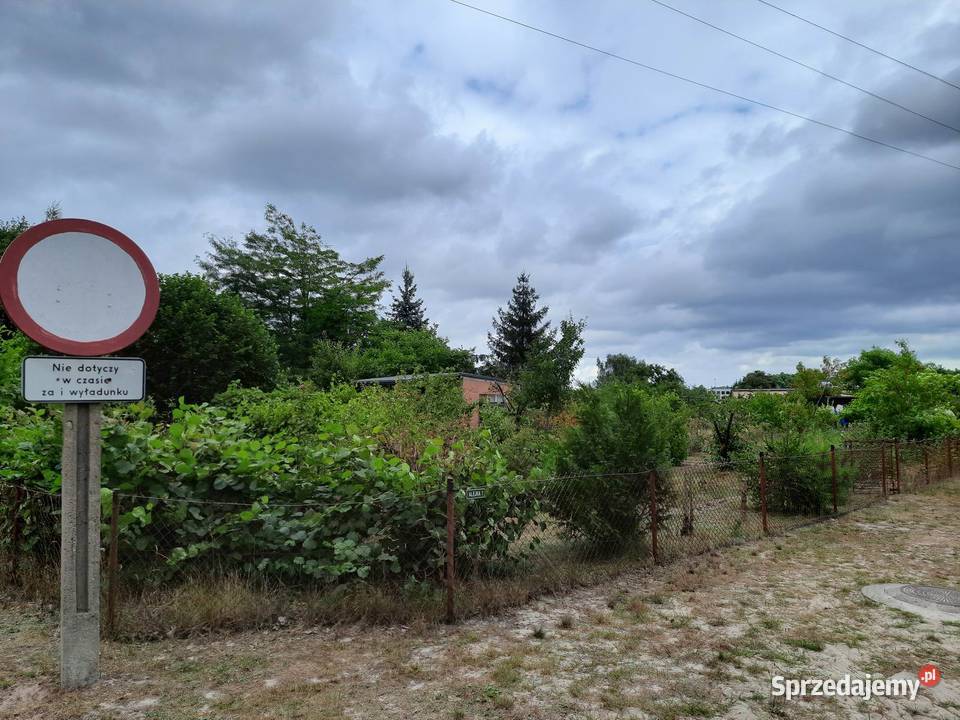 Działka ROD Złote Piaski Glinno k Nowego Tomyśla Sprzedaż wielkopolskie Nowy Tomyśl