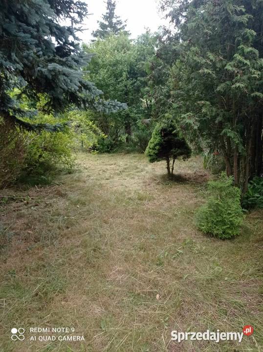 Działka ROD w Łowiczu