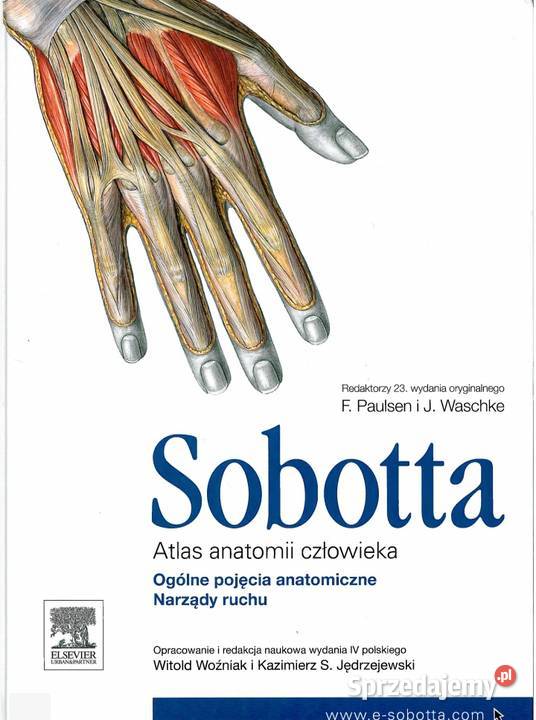 Atlasy anatomiczne Sobotta 3 części pdf Pozostałe mazowieckie Radom