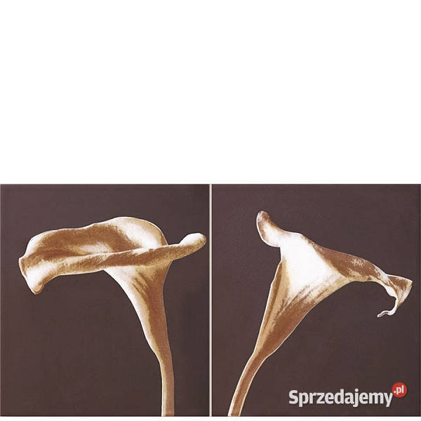 Dekor Calle 327 x 593 Tubądzin płytki aktualne zachodniopomorskie sprzedam