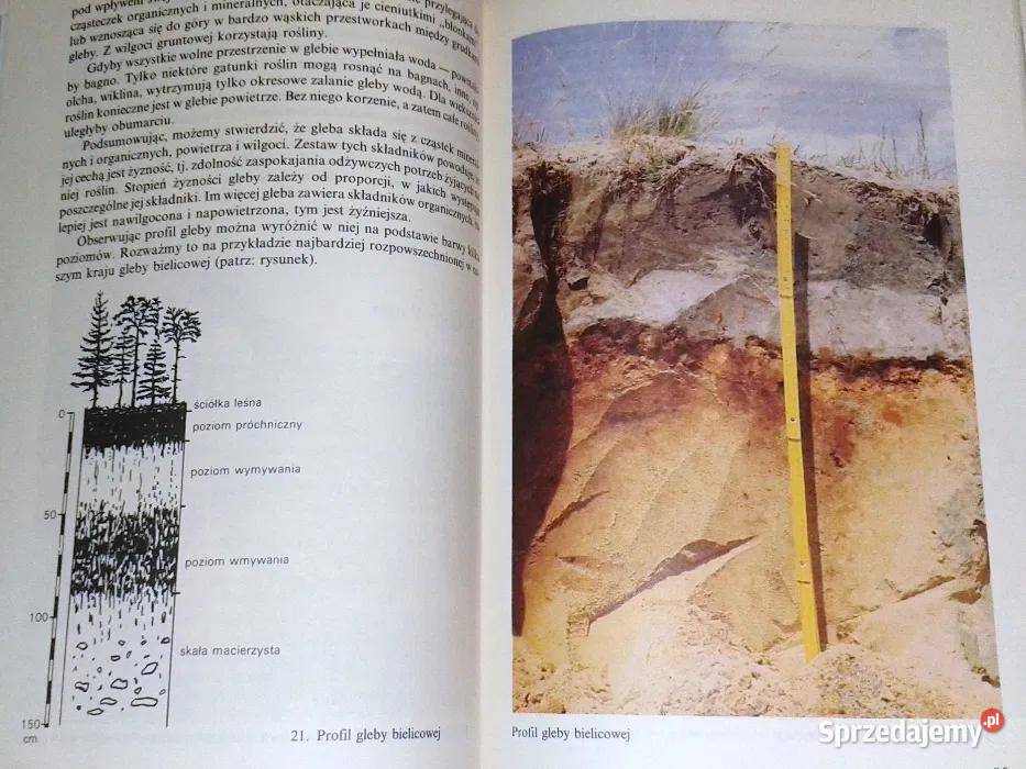Geografia Polski Podręcznik kl 8 Stanisław Zając