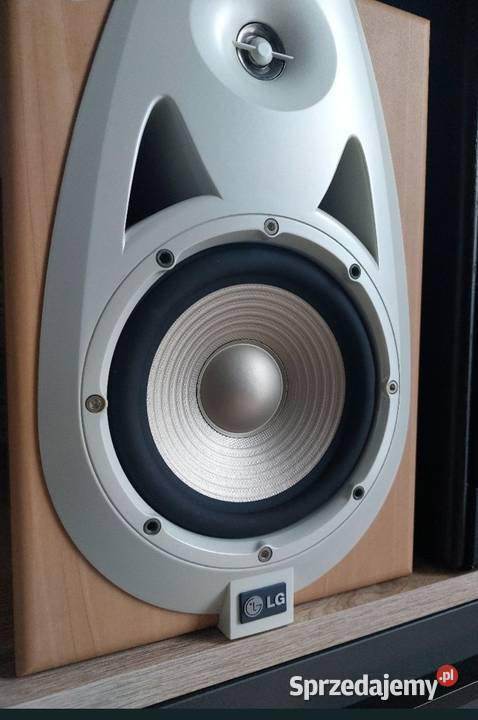 Wieża LG FFH2020 AUX CD Magnetofon Kolumny małopolskie Binarowa