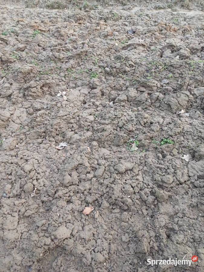 Ziemia na podniesienie terenu Uszew