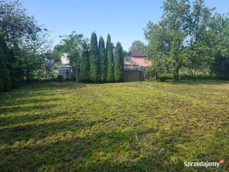 Działka ROD im J Kilińskiego w Staszowie Staszów
