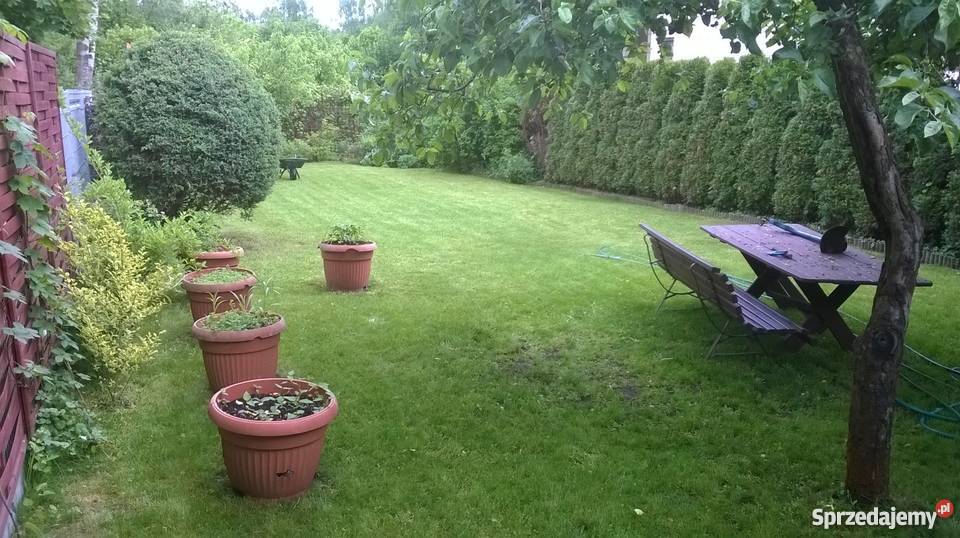Działka Otwock budowlana 750m2 fundamenty domu Otwock