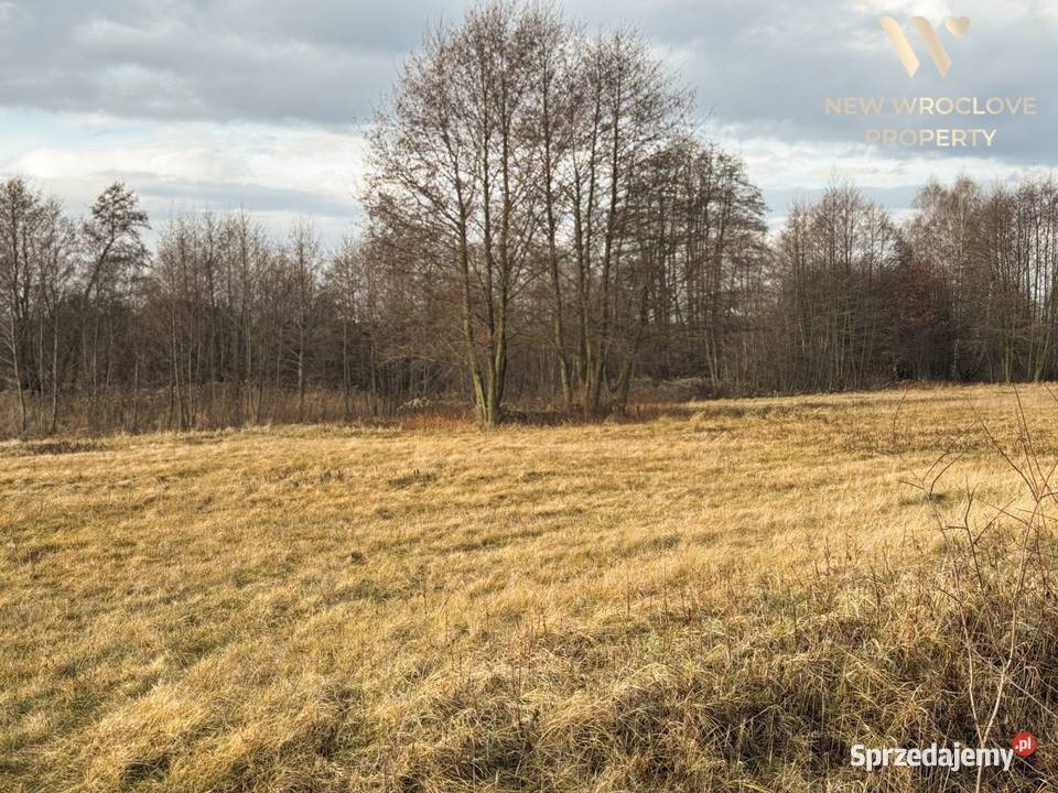 Duża działka rolna bezpośrednio drodze rolna Złotów
