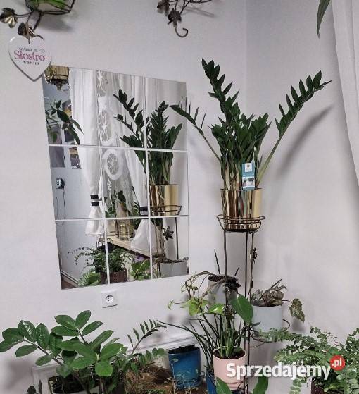 Komplet 9 luster ściennych loft Grodzisk Wielkopolski sprzedam