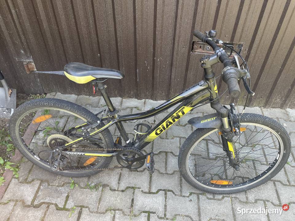 Rower 24 Giant XTC Jedlińsk