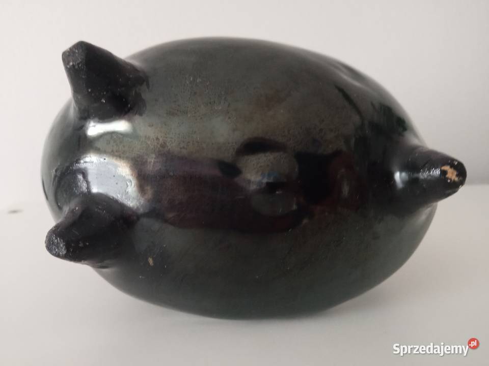 Karafka Dinozaur Bolesław Książek