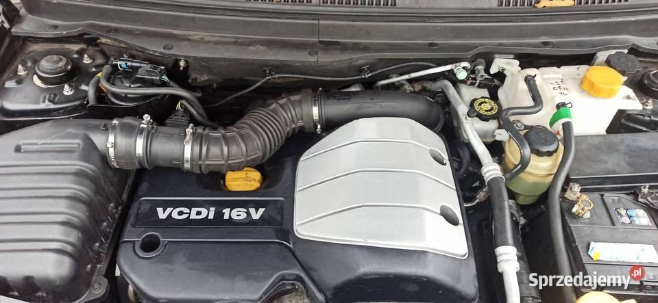 Chevrolet Caprice 20 VCDi 150 4x4 Captiva Parczew