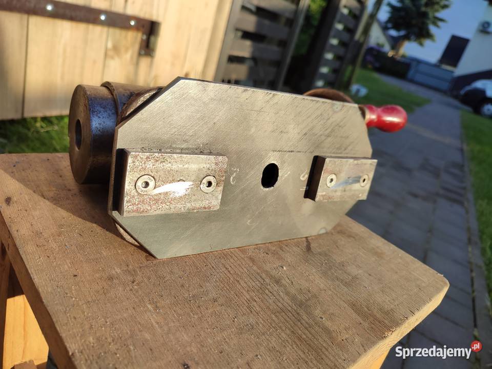 Konik tokarski świętokrzyskie